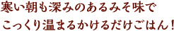 寒い朝も深みのあるみそ味でこっくり温まるかけるだけごはん！