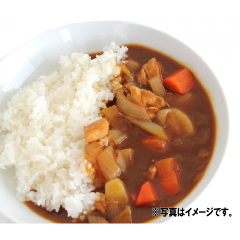 石田缶詰 キャンプカレーの具 チキン 460g 2皿分 アミカネットショップ本店