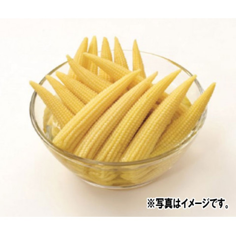 マルハニチロ タイ産 ヤングコーン 540g<切替商品登録中> | アミカ