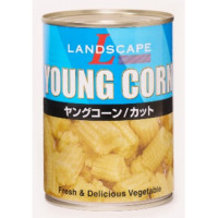 【ポイント2倍】LANDSCAPE　ヤングコーン(カット)　565g